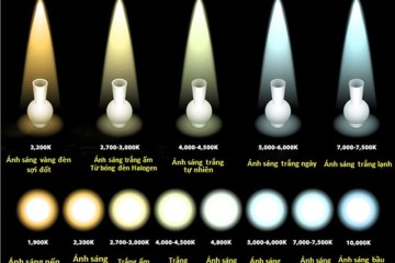 Cách lựa chọn màu sắc ánh sáng đèn LED phù hợp