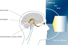 Ảnh hưởng của ánh sáng đến hiệu suất làm việc của người lao động Ảnh hưởng của ánh sáng đến hiệu suất làm việc của người lao động