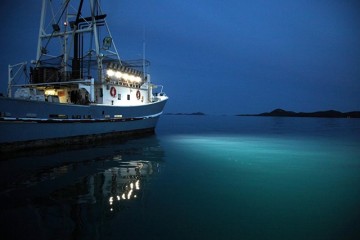 Đèn LED đánh bắt cá – Tiết kiệm mà hiệu quả
