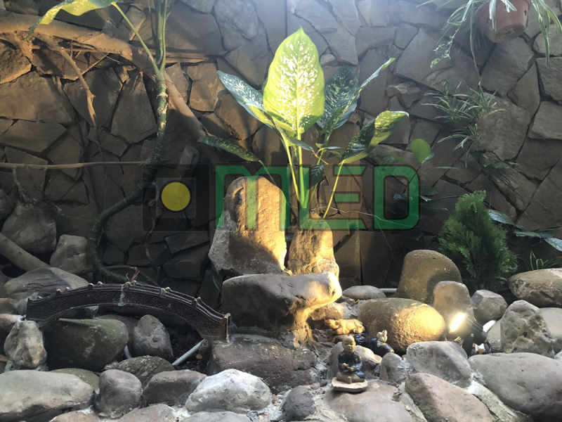 Lắp đèn led sân vườn Cafe Vũ Pháp Vân Lắp đèn led sân vườn Cafe Vũ Pháp Vân