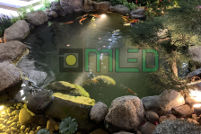 Chiếu sáng sân vườn Sunny Garden Chiếu sáng sân vườn Sunny Garden