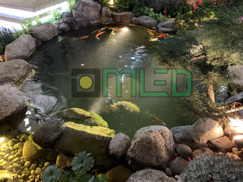 Chiếu sáng sân vườn hồ Koi tại Đông Ngạc Chiếu sáng sân vườn hồ Koi tại Đông Ngạc