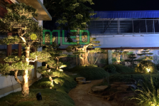 Cách phối màu cho đèn âm nước xanh dương trong chiếu sáng cảnh quan Cách phối màu cho đèn âm nước xanh dương trong chiếu sáng cảnh quan