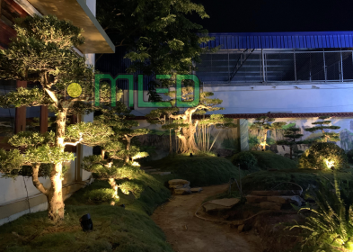 Bộ đôi đèn chiếu cây 12V không thể thiếu trong thiết kế sân vườn cảnh quan Bộ đôi đèn chiếu cây 12V không thể thiếu trong thiết kế sân vườn cảnh quan