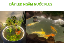 Dây đèn trang trí phổ biến sử dụng cho các quán cafe hiện nay Dây đèn trang trí phổ biến sử dụng cho các quán cafe hiện nay