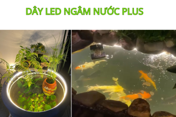 Dây Led Ngâm Nước Plus ứng dụng vào chiếu sáng cảnh quan Dây Led Ngâm Nước Plus ứng dụng vào chiếu sáng cảnh quan